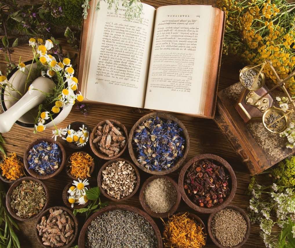 Natural medicine of pharmacy on wooden table background